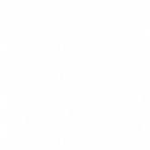 цвет: белый