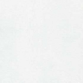 цвет: белый