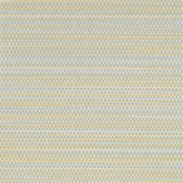 цвет: салатовый