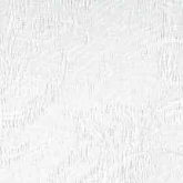 цвет: белый